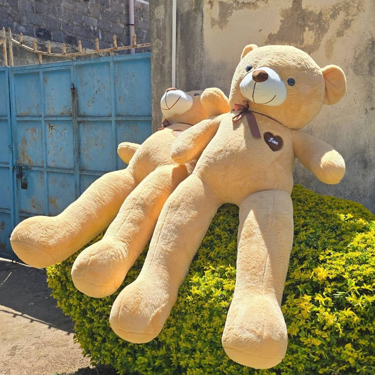 MarshMallow Bear - Teddy bears Kenya, Nairobi | Whispers Floral Gifts